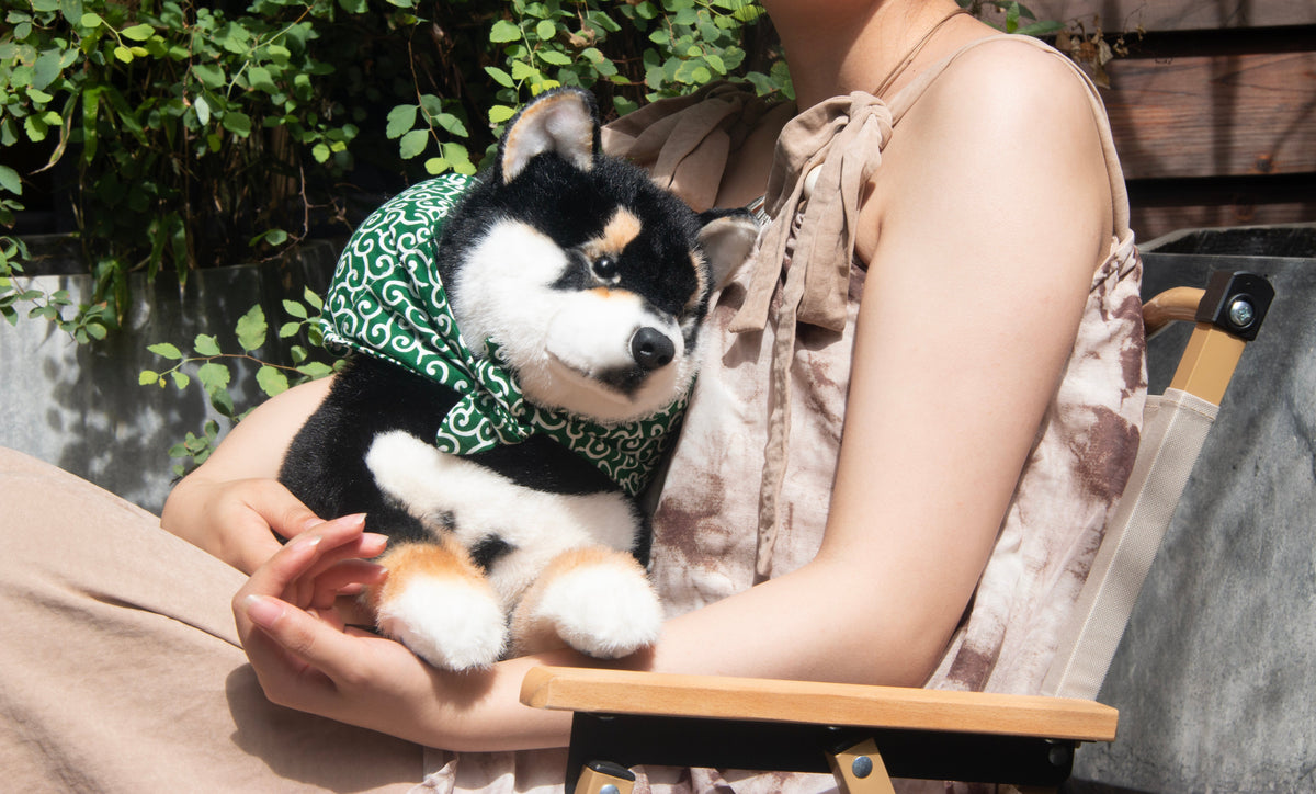 Black Shiba Inu Dog